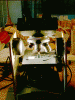 Resized-Complete-Scop-copy.gif