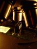 Resized-Close-Up-of-Cartridge-copy.gif
