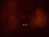Cropped-Facits-copy.gif