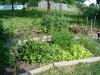 July 14 08 018x.jpg