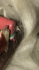 24845FFE-B70B-466C-844D-8B8A827DD12D.png