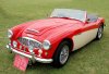 Austin-healey_100-6_bn4.jpg