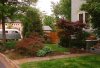 garden1.jpg