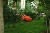 garden2.jpg