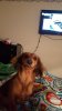 20160325_011010.jpg