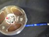 Maxell Standard E35-5 3 Leader A.jpg