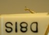 DSCF0694c.jpg
