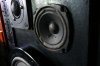 QLS1 midbass.jpg