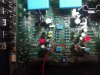 rega-elicit-3.jpg