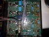 rega-elicit-5.jpg