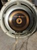 GE Speaker.jpg