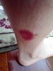 100_0224.JPG