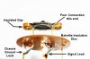 Microphone Element Edge web 02.jpg