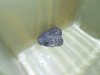 DSCN5117.jpg