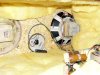 big a sherwood innards.jpg