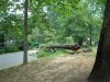 DSC00173.JPG