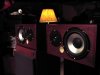 Indignia EV41 speaker project (7).jpg