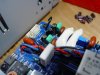 DSC05598.jpg