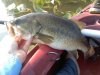 fish718.jpg