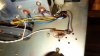 DSC01754.JPG