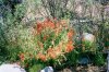 021_18A.JPG
