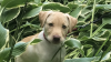 19215186-5C18-48F0-AC2D-711D147C2160.png