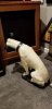 20180821_165110.jpg