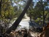 DSCN5453.jpg
