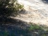 DSCN5455.jpg