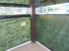 DSCN5160.jpg