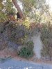 DSCN5473.jpg