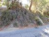 DSCN5474.jpg