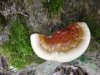 IMG_20181007_182412.jpg