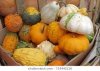 gourd.jpg