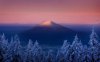 201341-volcano-Oregon-sunset-forest-snow-mountain-trees-snowy_peak-nature-winter-landscape.jpg