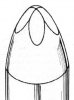Empire 4Dimensional stylus cuts sketch.jpg