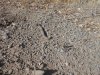 DSCN5597.jpg
