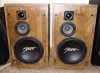 Cerwin Vega U-321.jpg