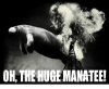 hugemanatee1.png