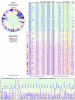 Radar-FM.png