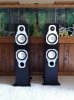 Momitor Audio Gold GR-20 008.JPG