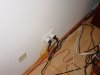 DSC06484.jpg