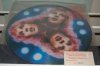 Picture Discs 003.jpg