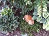 20180831_092934.jpg