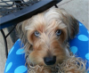 !cid_4765E31C6648487A832A63DF16A5D686@PrelipHP.png
