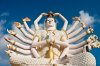 0002 Multi-armed Buddha.jpg