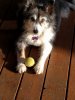 IMG_20180617_190752.jpg