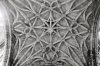 Toni002-R1-E117.jpg
