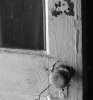 Open bw.jpg