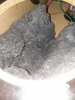 20190128_172743.jpg
